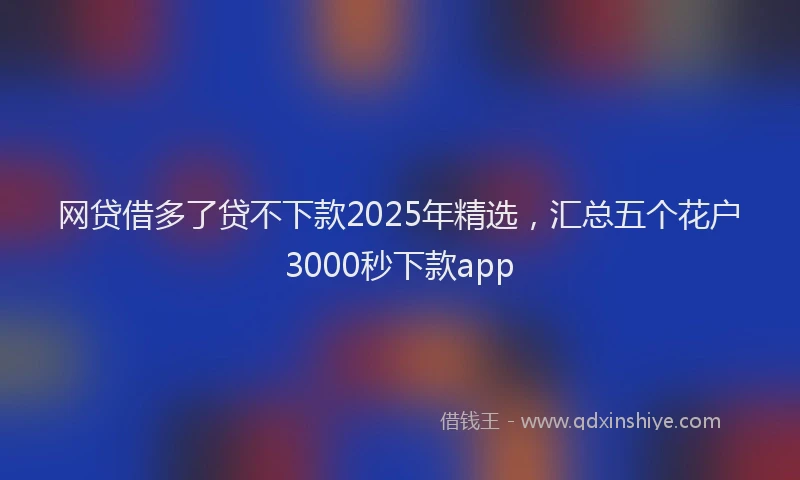 网贷借多了贷不下款2025年精选，汇总五个花户3000秒下款app