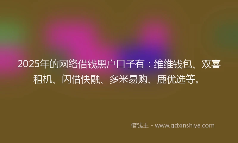 2025年的网络借钱黑户口子有：维维钱包、双喜租机、闪借快融、多米易购、鹿优选等。