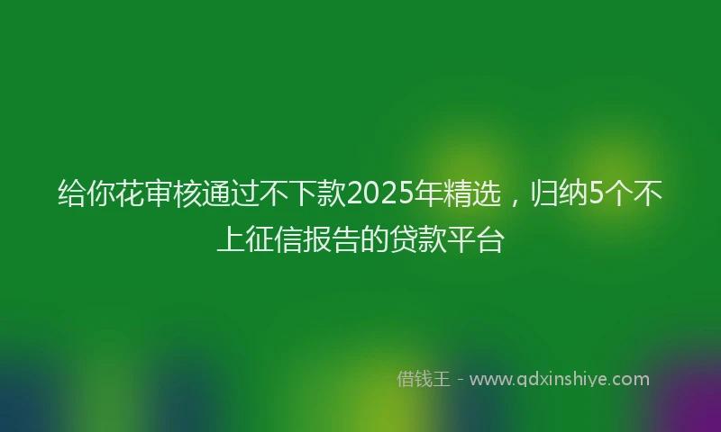 给你花审核通过不下款2025年精选，归纳5个不上征信报告的贷款平台