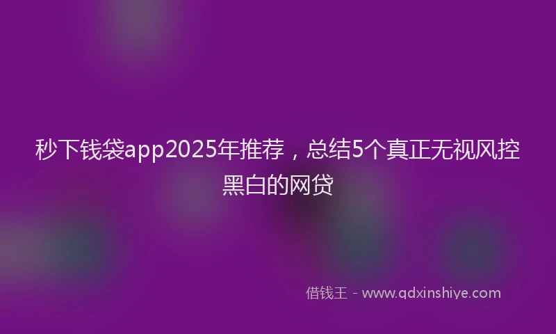 秒下钱袋app2025年推荐，总结5个真正无视风控黑白的网贷