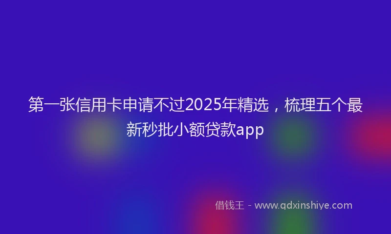 第一张信用卡申请不过2025年精选，梳理五个最新秒批小额贷款app