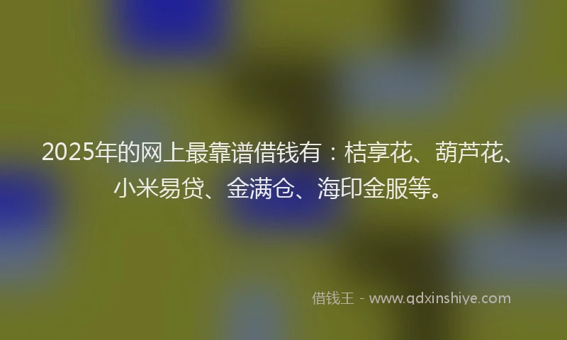2025年的网上最靠谱借钱有：桔享花、葫芦花、小米易贷、金满仓、海印金服等。