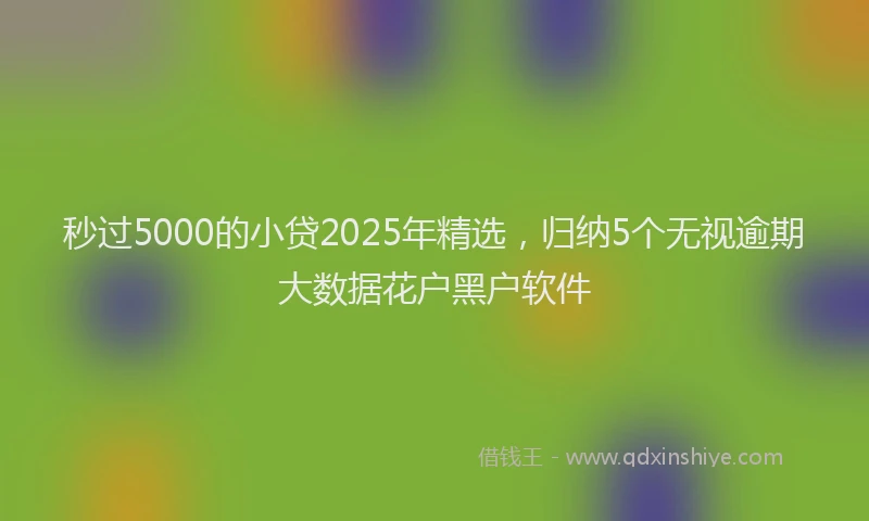 秒过5000的小贷2025年精选，归纳5个无视逾期大数据花户黑户软件