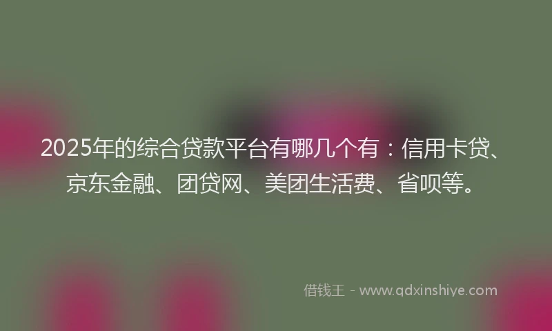 2025年的综合贷款平台有哪几个有：信用卡贷、京东金融、团贷网、美团生活费、省呗等。