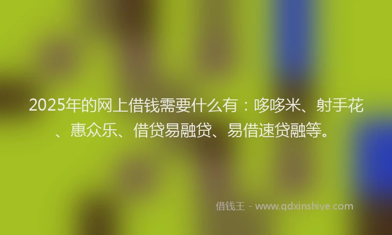 2025年的网上借钱需要什么有：哆哆米、射手花、惠众乐、借贷易融贷、易借速贷融等。