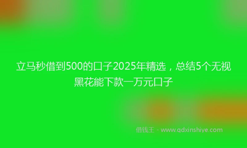 立马秒借到500的口子2025年精选，总结5个无视黑花能下款一万元口子