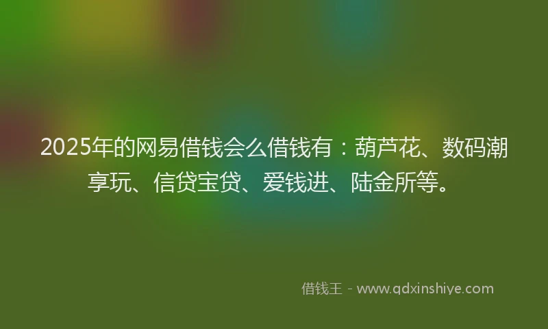 2025年的网易借钱会么借钱有：葫芦花、数码潮享玩、信贷宝贷、爱钱进、陆金所等。