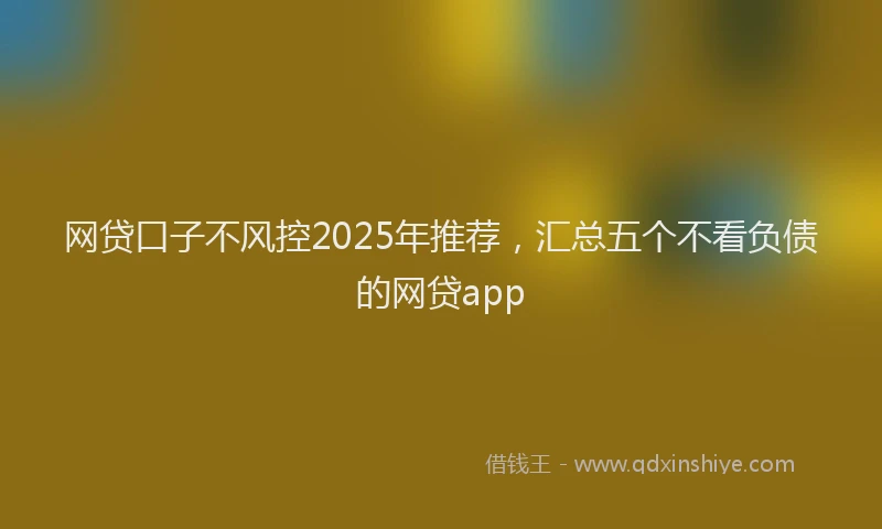 网贷口子不风控2025年推荐，汇总五个不看负债的网贷app