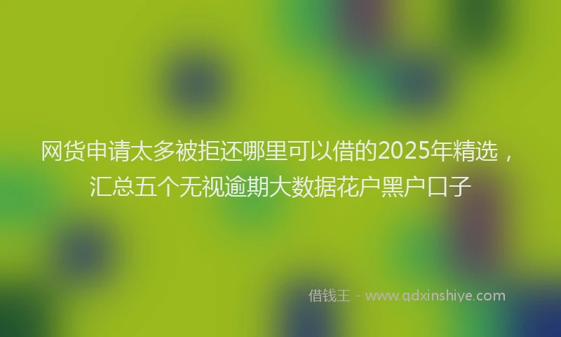 网货申请太多被拒还哪里可以借的2025年精选，汇总五个无视逾期大数据花户黑户口子