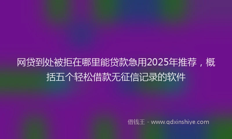网贷到处被拒在哪里能贷款急用2025年推荐，概括五个轻松借款无征信记录的软件