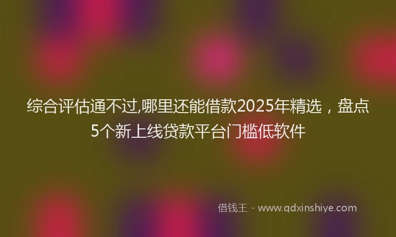 综合评估通不过,哪里还能借款2025年精选，盘点5个新上线贷款平台门槛低软件