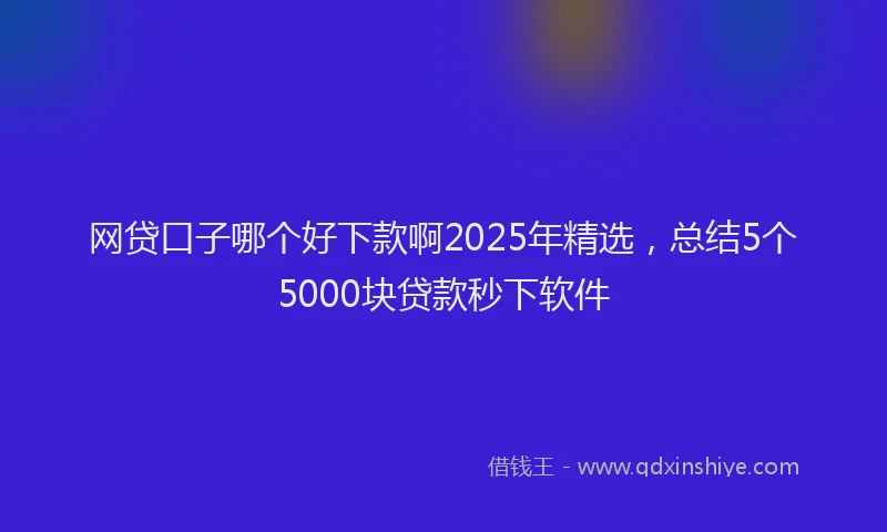 网贷口子哪个好下款啊2025年精选，总结5个5000块贷款秒下软件