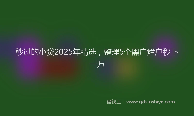 秒过的小贷2025年精选，整理5个黑户烂户秒下一万