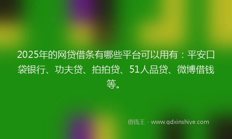 2025年的网贷借条有哪些平台可以用有：平安口袋银行、功夫贷、拍拍贷、51人品贷、微博借钱等。