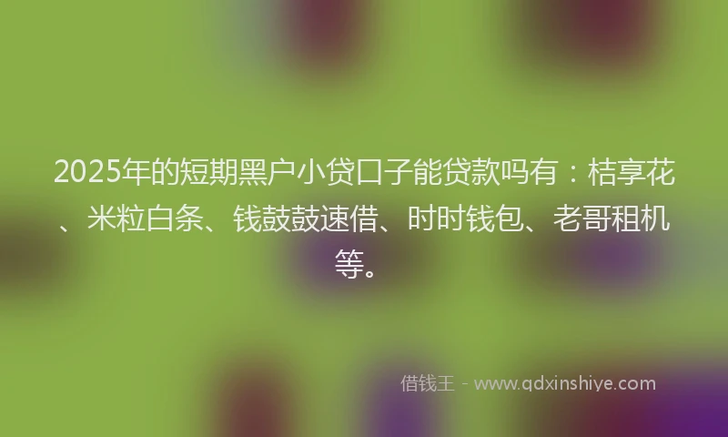 2025年的短期黑户小贷口子能贷款吗有：桔享花、米粒白条、钱鼓鼓速借、时时钱包、老哥租机等。