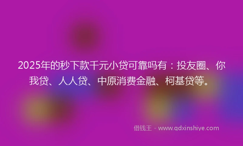 2025年的秒下款千元小贷可靠吗有：投友圈、你我贷、人人贷、中原消费金融、柯基贷等。