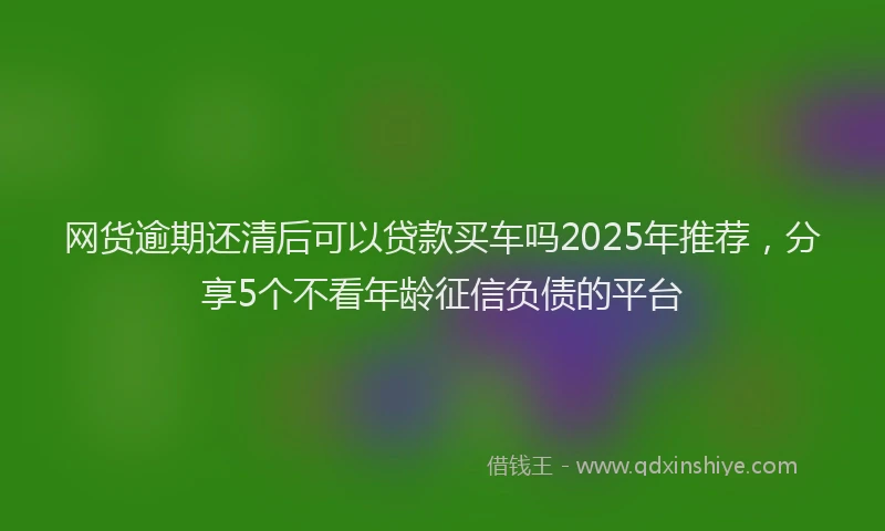 网货逾期还清后可以贷款买车吗2025年推荐，分享5个不看年龄征信负债的平台
