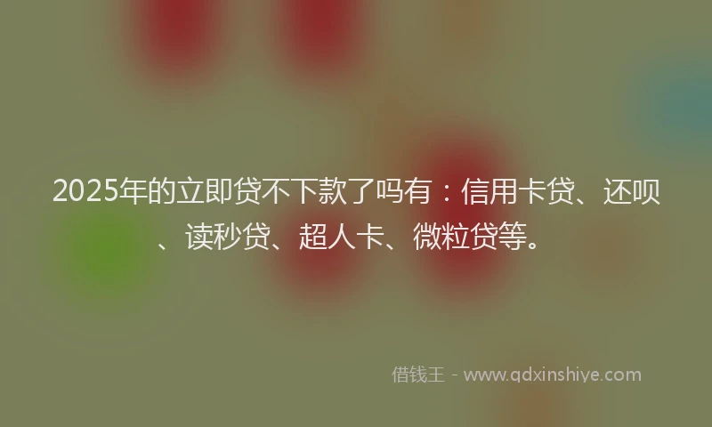 2025年的立即贷不下款了吗有：信用卡贷、还呗、读秒贷、超人卡、微粒贷等。