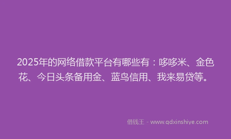 2025年的网络借款平台有哪些有：哆哆米、金色花、今日头条备用金、蓝鸟信用、我来易贷等。