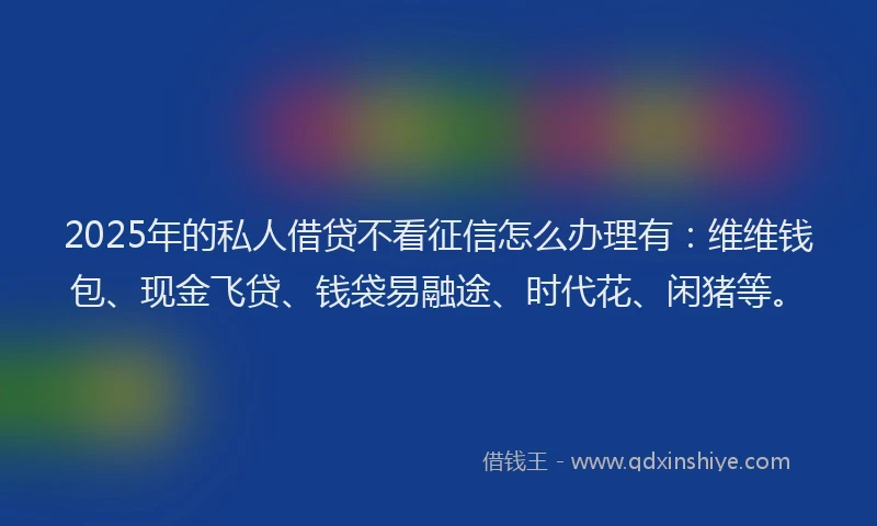 2025年的私人借贷不看征信怎么办理有：维维钱包、现金飞贷、钱袋易融途、时代花、闲猪等。