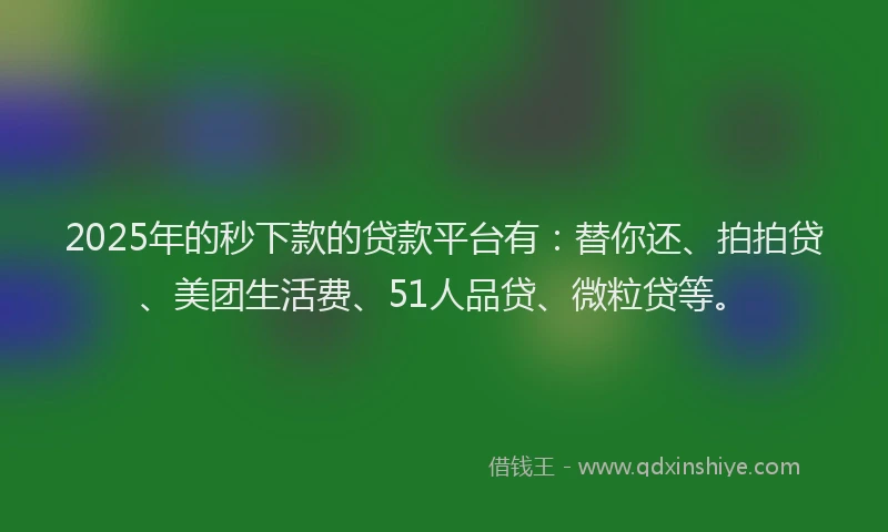 2025年的秒下款的贷款平台有：替你还、拍拍贷、美团生活费、51人品贷、微粒贷等。