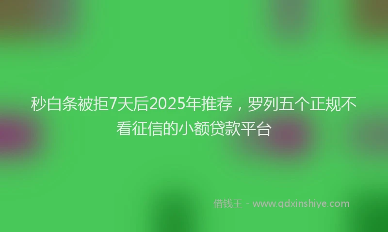 秒白条被拒7天后2025年推荐，罗列五个正规不看征信的小额贷款平台