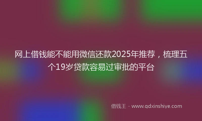 网上借钱能不能用微信还款2025年推荐，梳理五个19岁贷款容易过审批的平台