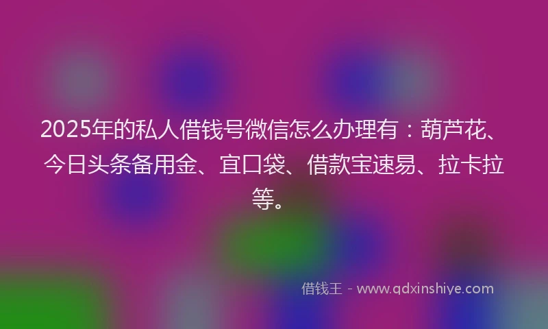 2025年的私人借钱号微信怎么办理有：葫芦花、今日头条备用金、宜口袋、借款宝速易、拉卡拉等。