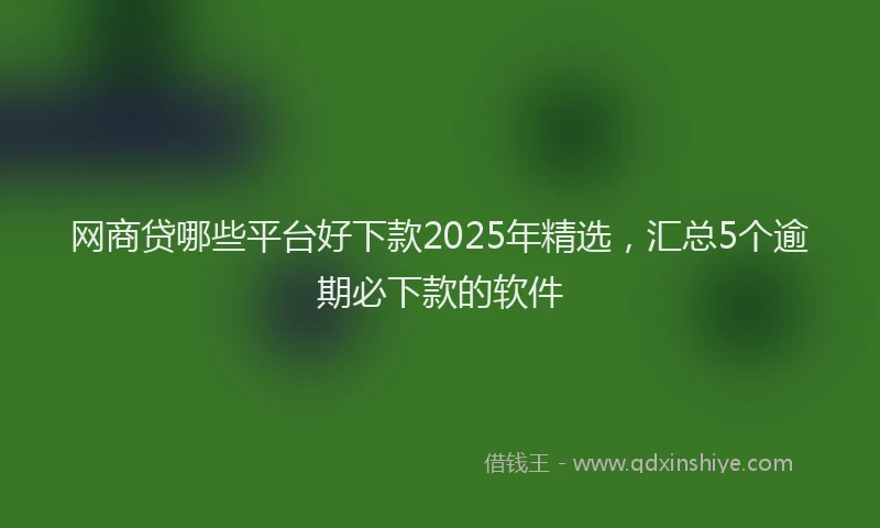网商贷哪些平台好下款2025年精选，汇总5个逾期必下款的软件
