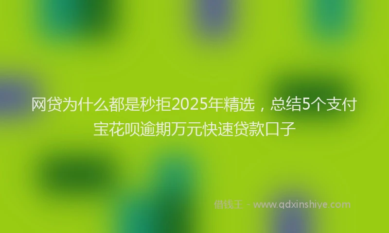 网贷为什么都是秒拒2025年精选，总结5个支付宝花呗逾期万元快速贷款口子