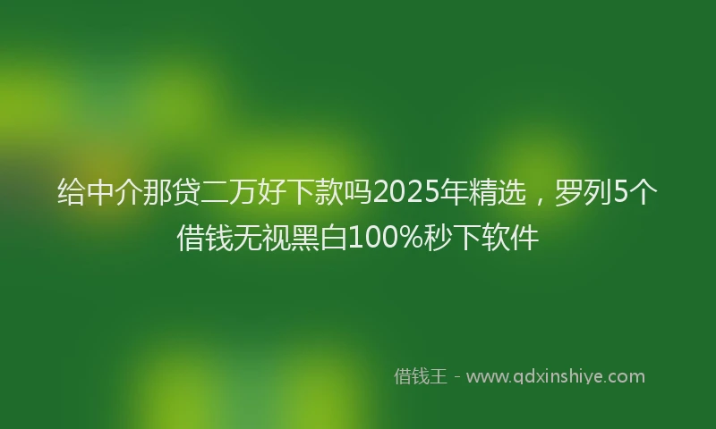 给中介那贷二万好下款吗2025年精选，罗列5个借钱无视黑白100%秒下软件