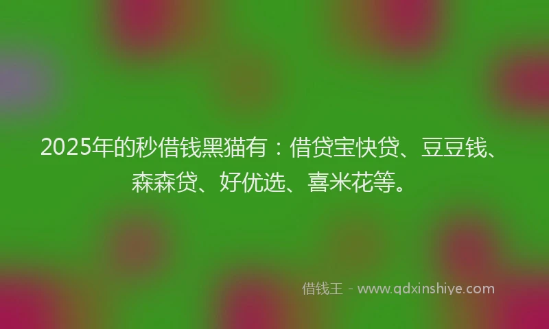 2025年的秒借钱黑猫有：借贷宝快贷、豆豆钱、森森贷、好优选、喜米花等。