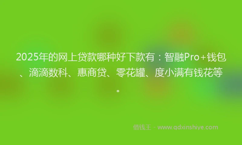 2025年的网上贷款哪种好下款有：智融Pro+钱包、滴滴数科、惠商贷、零花罐、度小满有钱花等。