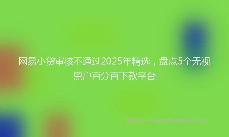 网易小贷审核不通过2025年精选，盘点5个无视黑户百分百下款平台
