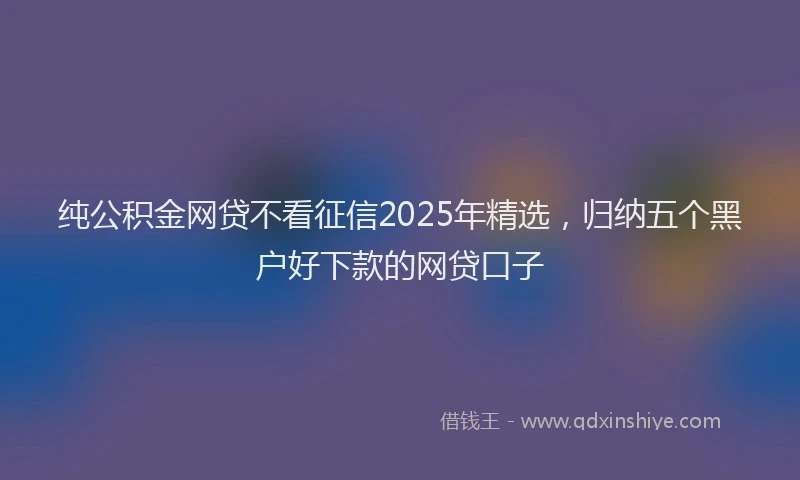 纯公积金网贷不看征信2025年精选，归纳五个黑户好下款的网贷口子