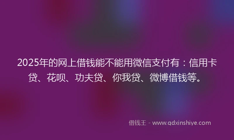 2025年的网上借钱能不能用微信支付有：信用卡贷、花呗、功夫贷、你我贷、微博借钱等。