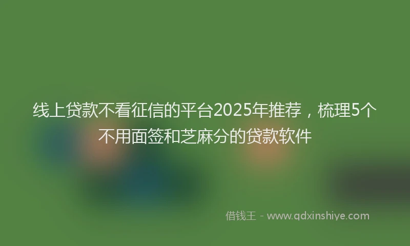 线上贷款不看征信的平台2025年推荐，梳理5个不用面签和芝麻分的贷款软件