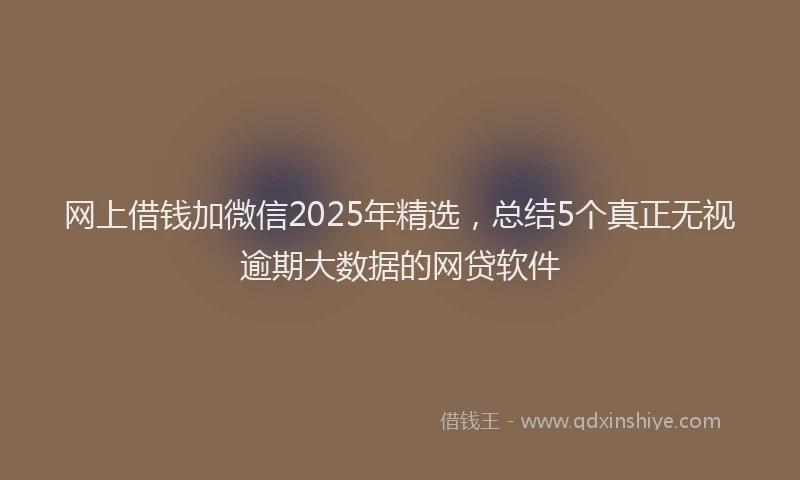 网上借钱加微信2025年精选，总结5个真正无视逾期大数据的网贷软件