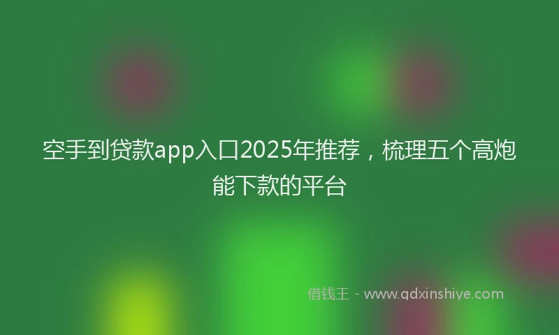 空手到贷款app入口2025年推荐，梳理五个高炮能下款的平台