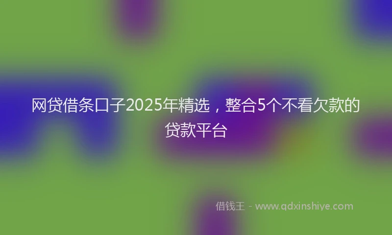 网贷借条口子2025年精选，整合5个不看欠款的贷款平台