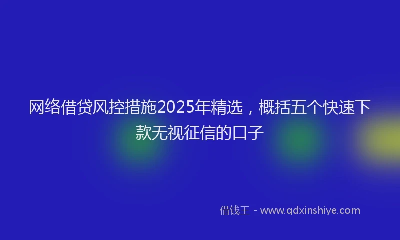 网络借贷风控措施2025年精选，概括五个快速下款无视征信的口子