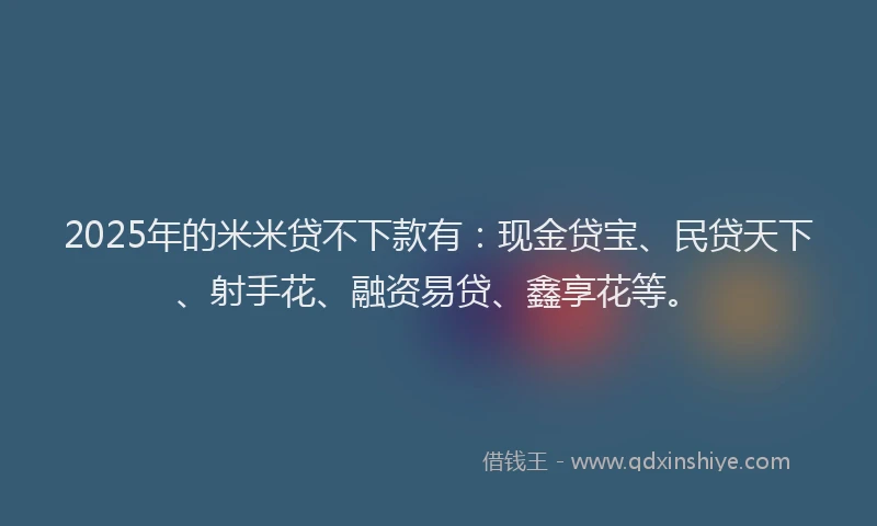 2025年的米米贷不下款有：现金贷宝、民贷天下、射手花、融资易贷、鑫享花等。