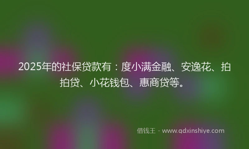 2025年的社保贷款有：度小满金融、安逸花、拍拍贷、小花钱包、惠商贷等。