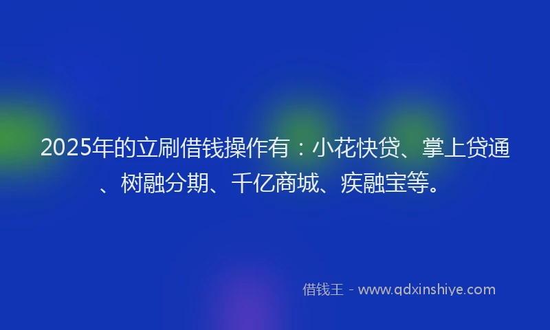 2025年的立刷借钱操作有：小花快贷、掌上贷通、树融分期、千亿商城、疾融宝等。