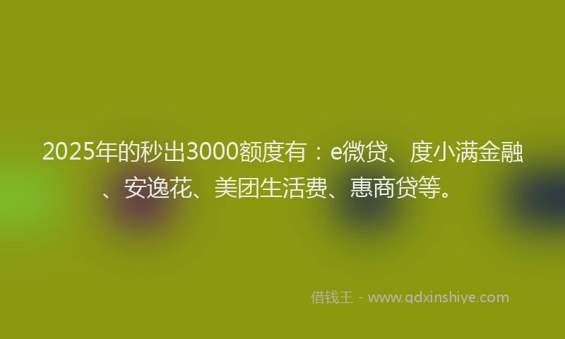 2025年的秒出3000额度有：e微贷、度小满金融、安逸花、美团生活费、惠商贷等。