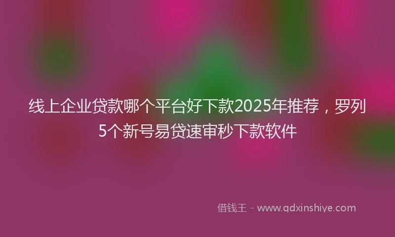 线上企业贷款哪个平台好下款2025年推荐，罗列5个新号易贷速审秒下款软件