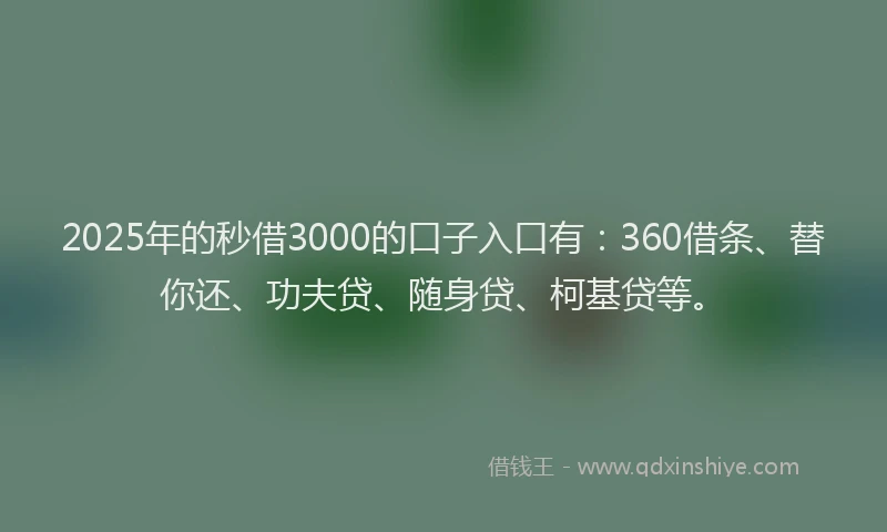 2025年的秒借3000的口子入口有：360借条、替你还、功夫贷、随身贷、柯基贷等。