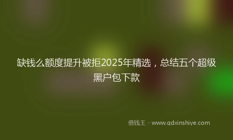 缺钱么额度提升被拒2025年精选，总结五个超级黑户包下款
