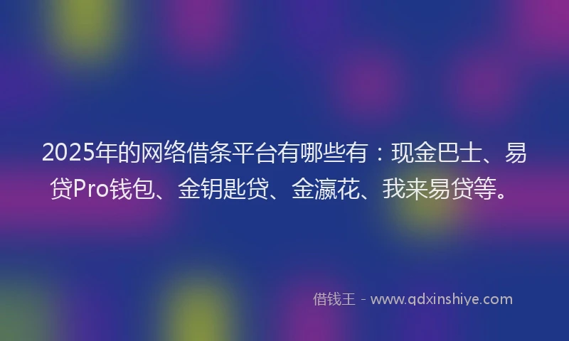 2025年的网络借条平台有哪些有：现金巴士、易贷Pro钱包、金钥匙贷、金瀛花、我来易贷等。