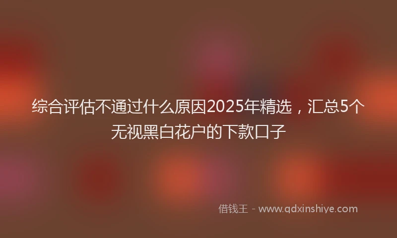 综合评估不通过什么原因2025年精选，汇总5个无视黑白花户的下款口子